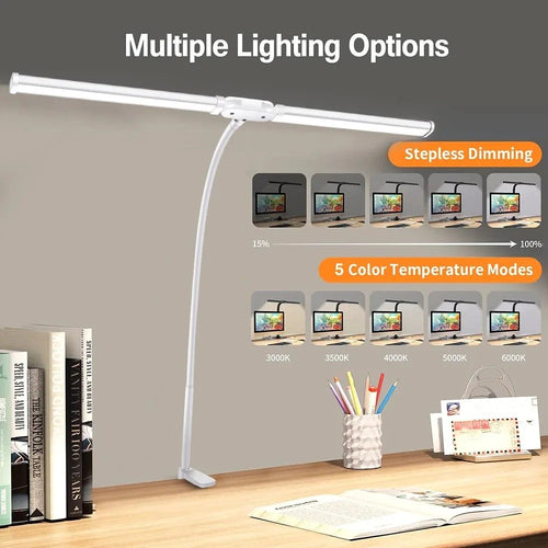 Dual Head LED Desk Lamp